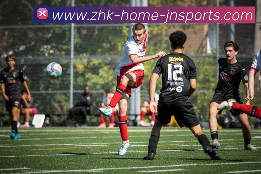 App Interface Preview