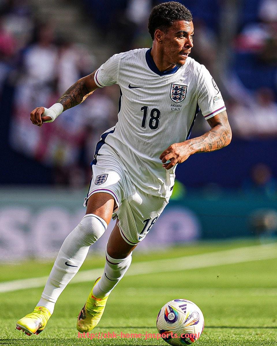 江南综合体育-火箭队2024年4月8日比赛视频回放资源